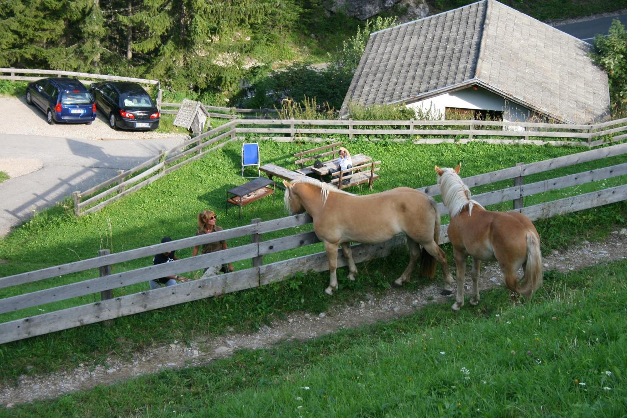 Gstattlhof Mountain Farmhouse Braies  Esterno foto